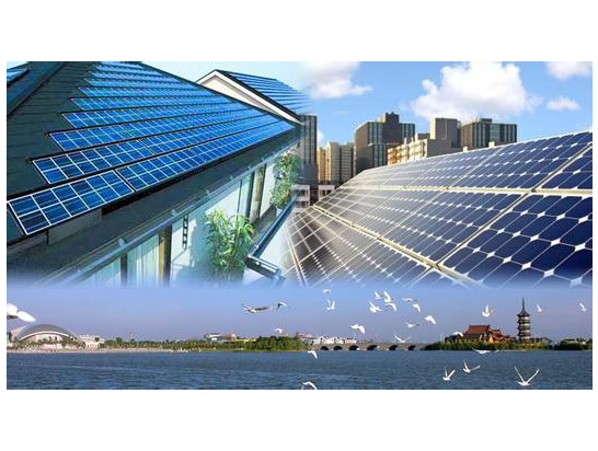 Plants: image 1 0f 4 thumb